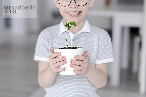 Lächelnder Junge mit Topfpflanze steht zu Hause