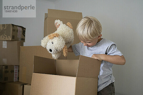 Box packing stuffed toy inside cardboard box