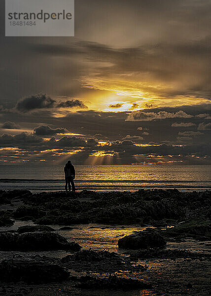 Silhouette couple looking on shore at sunset beach  Pembrokeshire  Wales