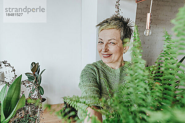 Lächelnde Frau mit Farnpflanze zu Hause