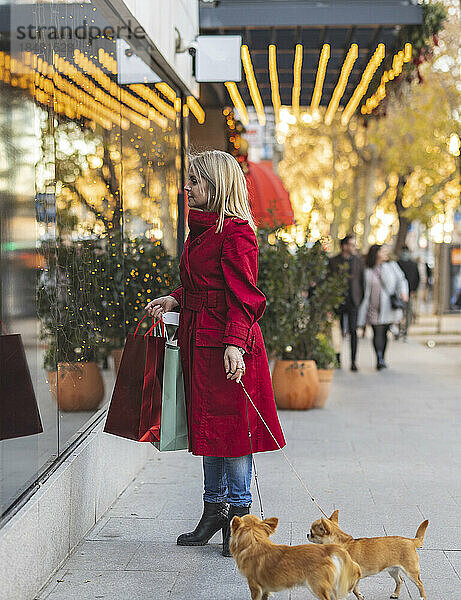 Frau mit Einkaufstüten steht mit Chihuahua-Hunden auf Fußweg