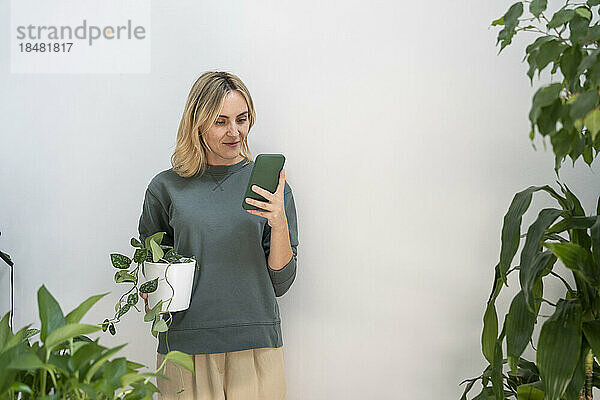 Lächelnde Frau mit Topfpflanze und Smartphone vor der Wand
