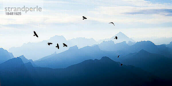 Vögel fliegen über Berge in den Dolomiten  Italien