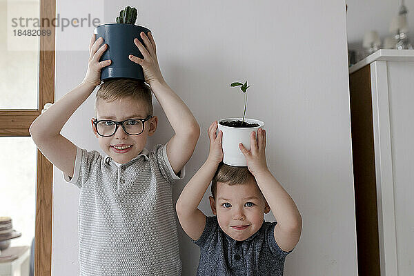 Brüder tragen zu Hause Topfpflanzen auf Köpfen