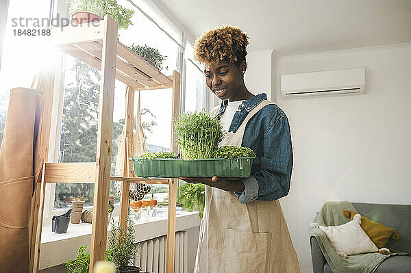 Lächelnde Frau hält mikrogrünen Behälter zu Hause
