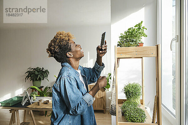 Lächelnde Frau fotografiert Pflanzen über Smartphone im heimischen Regal