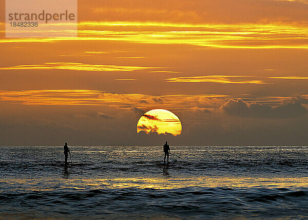 Silhouette men standing on paddle board at sunset  Pembrokeshire  Wales