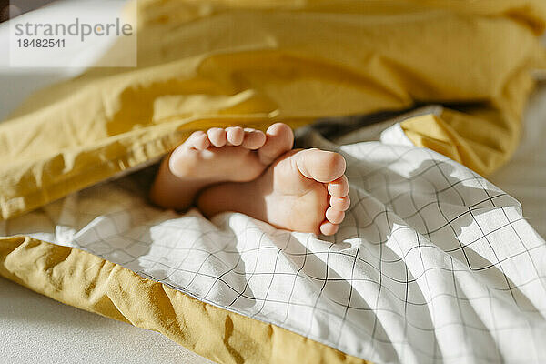 Feet of girl peeking out from blanket on bed