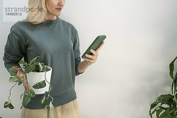 Frau hält Topfpflanze in der Hand und benutzt Smartphone zu Hause