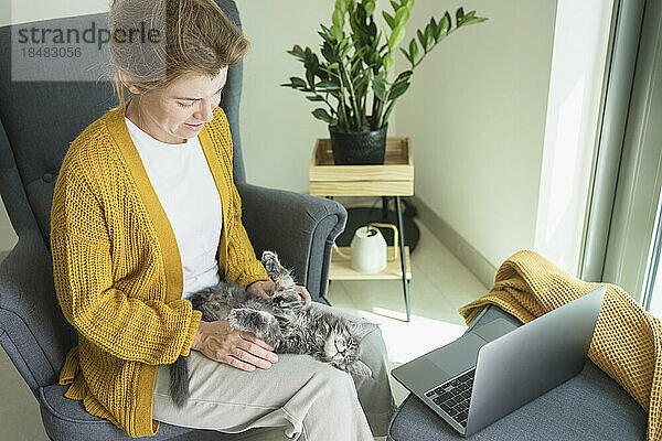 Freiberufler streichelt Katze im Sessel am Laptop im Heimbüro