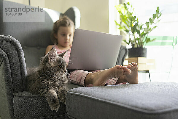 Mädchen benutzt Laptop und sitzt zu Hause mit Katze im Sessel