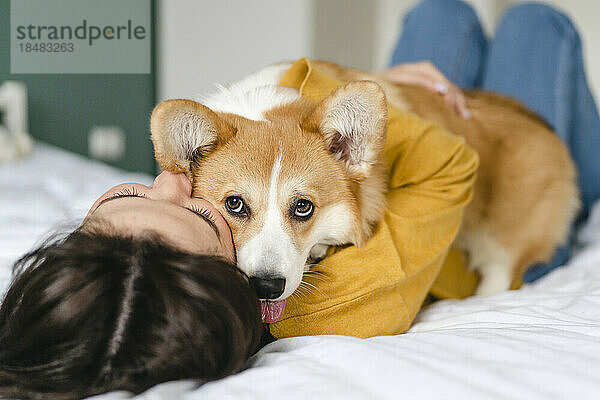 Young woman hugging Pembroke Welsh Corgi on bed at home