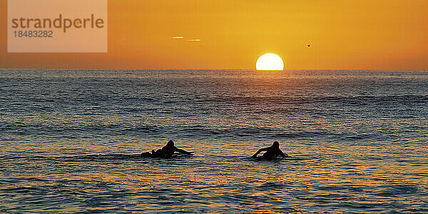 Silhouette men surfing in sea at sunset  Pembrokeshire  Wales