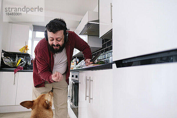 Reifer Mann gibt Hund in der heimischen Küche Futter