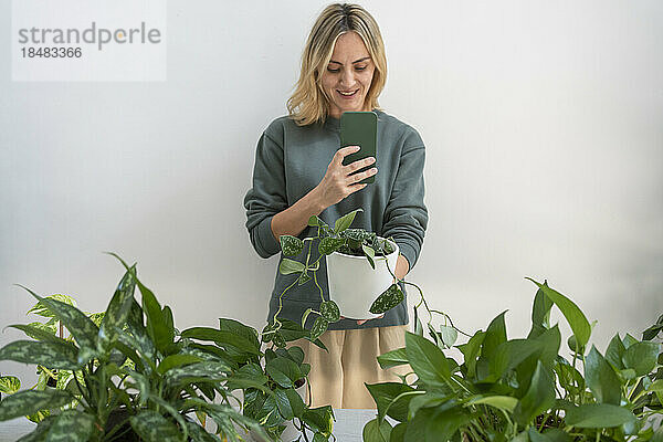 Lächelnde Frau fotografiert zu Hause Topfpflanzen per Smartphone