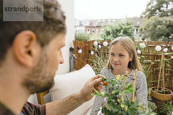 Father and daughter with plant in balcony