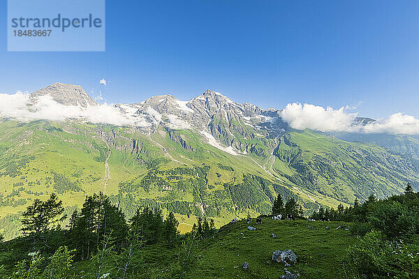 Österreich  Salzburg  malerischer Blick auf das grüne Sommertal in den europäischen Alpen