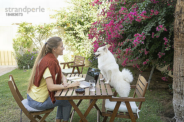 Freiberufler und Hund sitzen auf Tisch im Garten