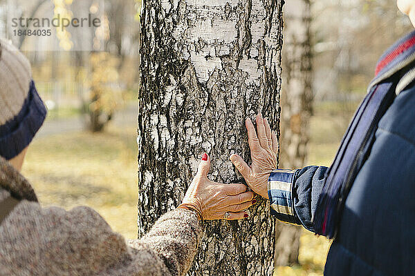 Älterer Mann und Frau berühren Baumstamm