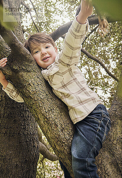 Lächelnder Junge sitzt auf einem Baum im Park