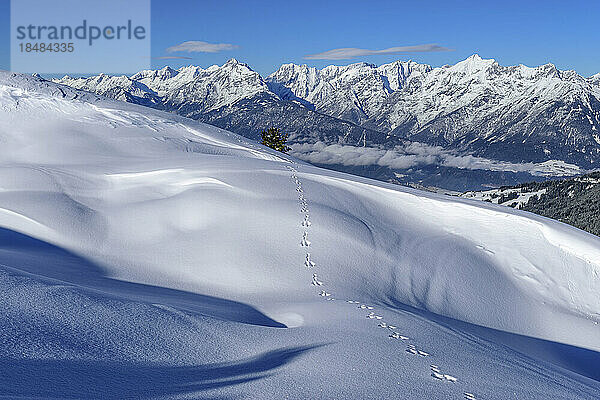 Österreich  Tirol  Kaninchenspuren im Schnee