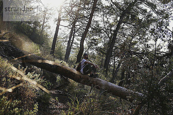 Wanderer sitzt auf umgestürztem Baum im Wald