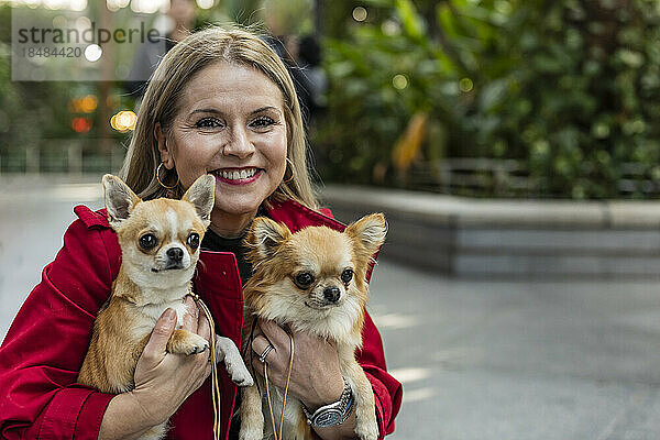 Glückliche reife Frau mit Chihuahua-Welpen auf Fußweg