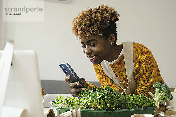 Fröhliche junge Bloggerin filmt klein angebautes Gemüse per Smartphone