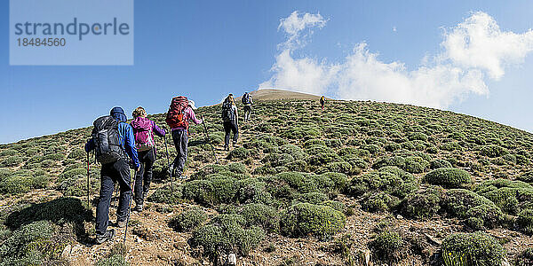 Wanderfreunde mit Rucksäcken steigen an sonnigen Tagen auf den Berg