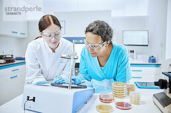 Zwei Wissenschaftlerinnen analysieren eine Probe in einem mikrobiologischen Labor