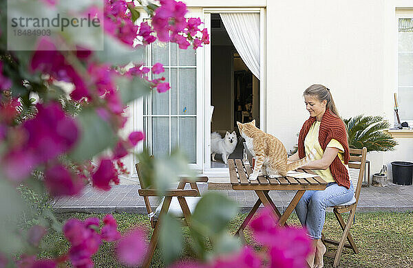 Freiberufler sitzt mit Katze auf Tisch im Garten