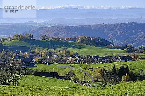 Blick von Gresgen im Schwarzwald zu den Alpen  Gresgen  Baden-Württemberg  Deutschland  Europa