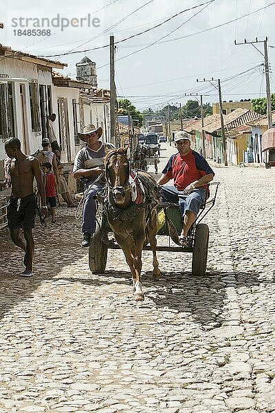 Alte bunte Pferde und Eselkarren in den Straßen von Havanna  Kuba  Mittelamerika