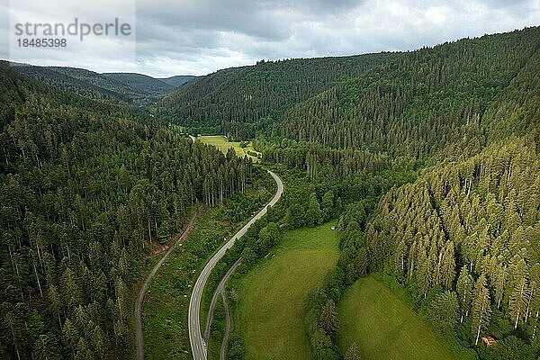 Straße durch den Wald  Bad Wildbad  Schwarzwald  Deutschland  Europa