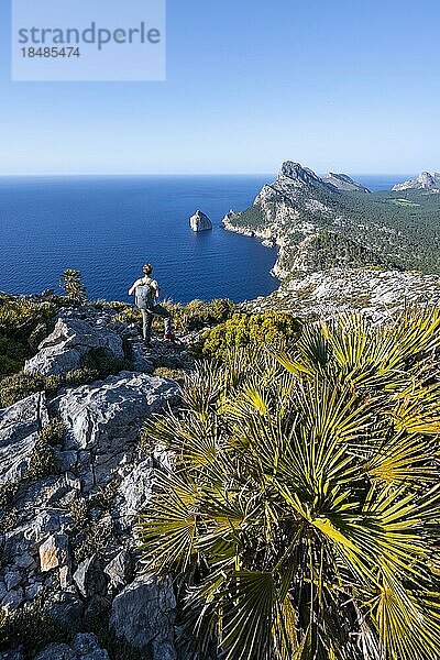 Ausblick auf felsige Klippen und Meer  Tourist am Cap Formentor  Küstenlandschaft  Pollença  Mallorca  Balearen  Spanien  Europa