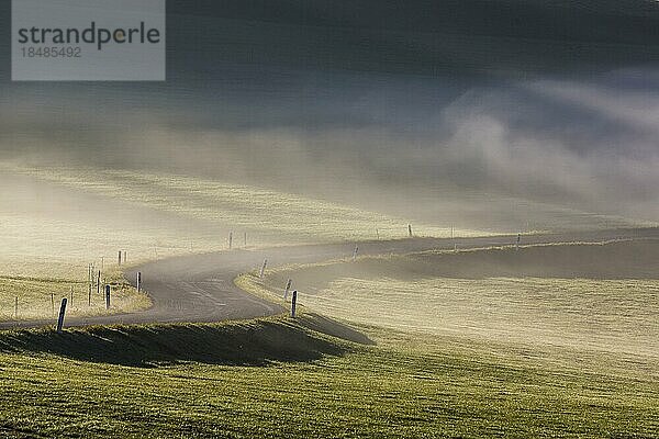 Kurvige Landstraße  Landschaft im Nebel  Bisingen  Baden-Württemberg  Deutschland  Europa