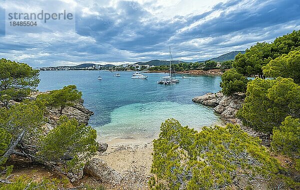 Kleine Bucht mit Sandstrand und blauem Meer  Segeljachten in der Bucht  Cala Punta Negra  Badia de Palma  Mallorca  Balearen  Spanien  Europa