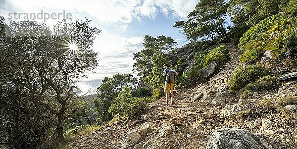 Wanderer auf Wanderung nach La Trapa von Sant Elm  in lichtem Wald  Serra de Tramuntana  Mallorca  Spanien  Europa