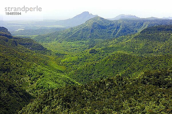 Blick in den Black River Gorges National Park  Südküste  Mauritius  Afrika