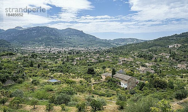 Ausblick auf Olivenhaine und Fincas  hinten Ort Soller  Wanderweg von Soller nach Fornalutx  Serra de Tramuntana  Mallorca  Balearen  Spanien  Europa