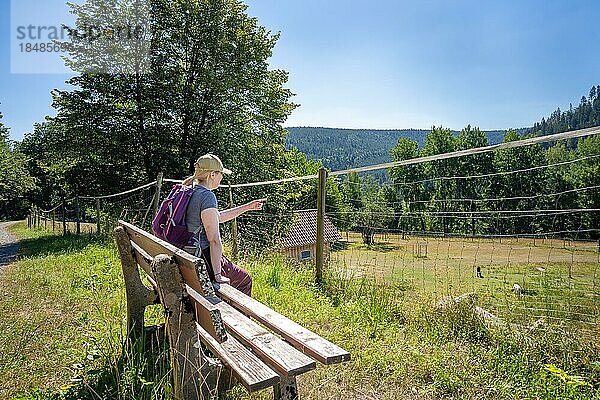 Wanderfrau sitzt auf Bank und zeigt auf das Wildgehege auf dem Wanderweg Sprollenhäuser Hut  Bad Wildbad  Schwarzwald  Deutschland  Europa