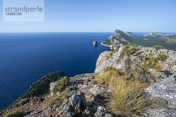 Ausblick auf felsige Klippen und Meer  Cap Formentor  Küstenlandschaft  Pollença  Mallorca  Balearen  Spanien  Europa