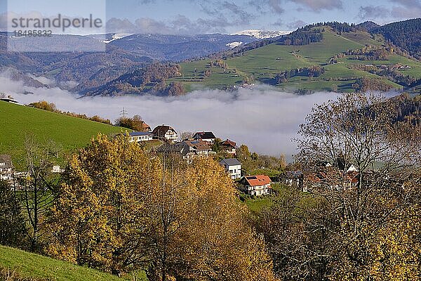 Zell-Paffenberg im Wiesental  Schwarzwald  Deutschland  Europa