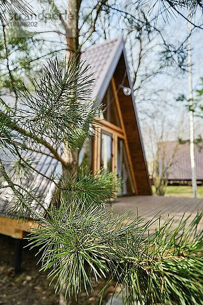Selektiver Fokus Foto von unscharfen A Rahmen Holzhütte mit einer Kiefer im Vordergrund
