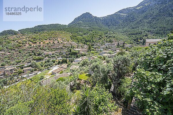 Ausblick auf Bergdorf Deià  Serra de Tramuntana  Mallorca  Balearen  Spanien  Europa