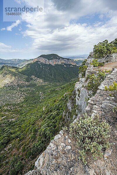 Blick über die Berge der Serra de Tramuntana  Castell Alaró  Puig dAlaró  Mallorca  Spanien  Europa