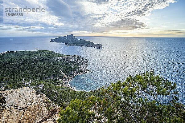 Ausblick auf Berge und Küste mit Meer  Wanderung nach La Trapa von Sant Elm  hinten Insel Sa Dragonera  Sonnenuntergang  Serra de Tramuntana  Mallorca  Spanien  Europa