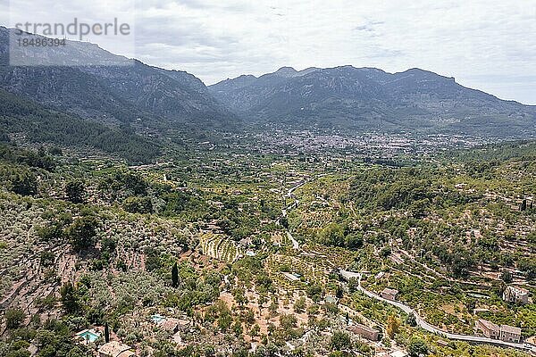 Mediterrane Berglandschaft mit Olivenplantagen  Luftaufnahme  hinten Ort Soller  Serra de Tramuntana  Mallorca  Balearen  Spanien  Europa