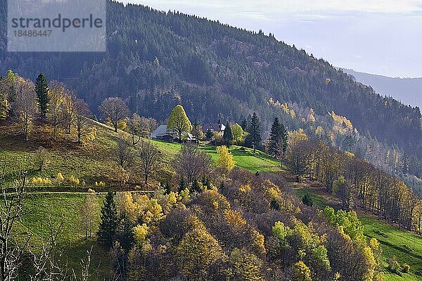 Herbst im südlichen Schwarzwald  Deutschland  Europa