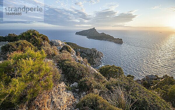 Ausblick auf Berge und Küste mit Meer  im Abendlicht  Wanderung nach La Trapa von Sant Elm  hinten Insel Sa Dragonera  Serra de Tramuntana  Mallorca  Spanien  Europa